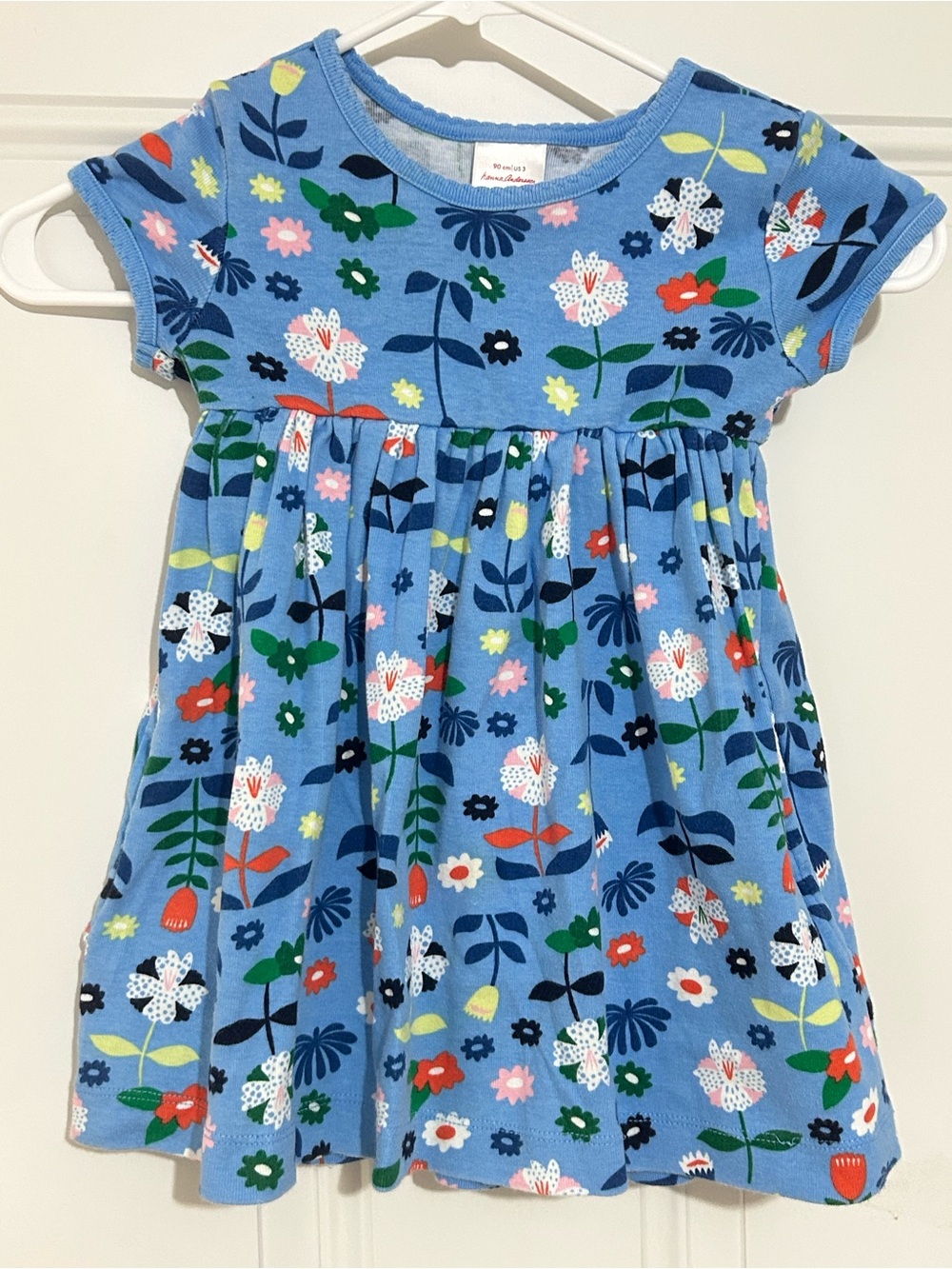 Hanna Andersson Light Blue Floral Cotton Dress